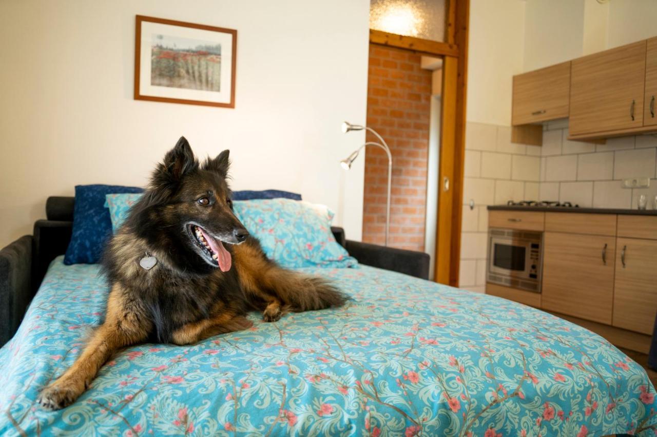 Charmecamping & Appartementen De Regge-Vallei Den Ham Zewnętrze zdjęcie